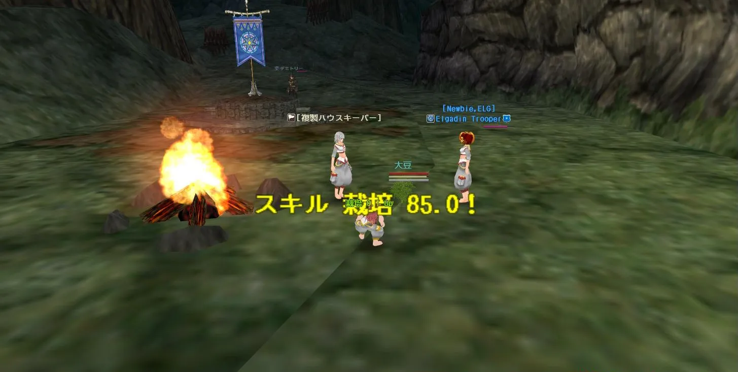 post406_008